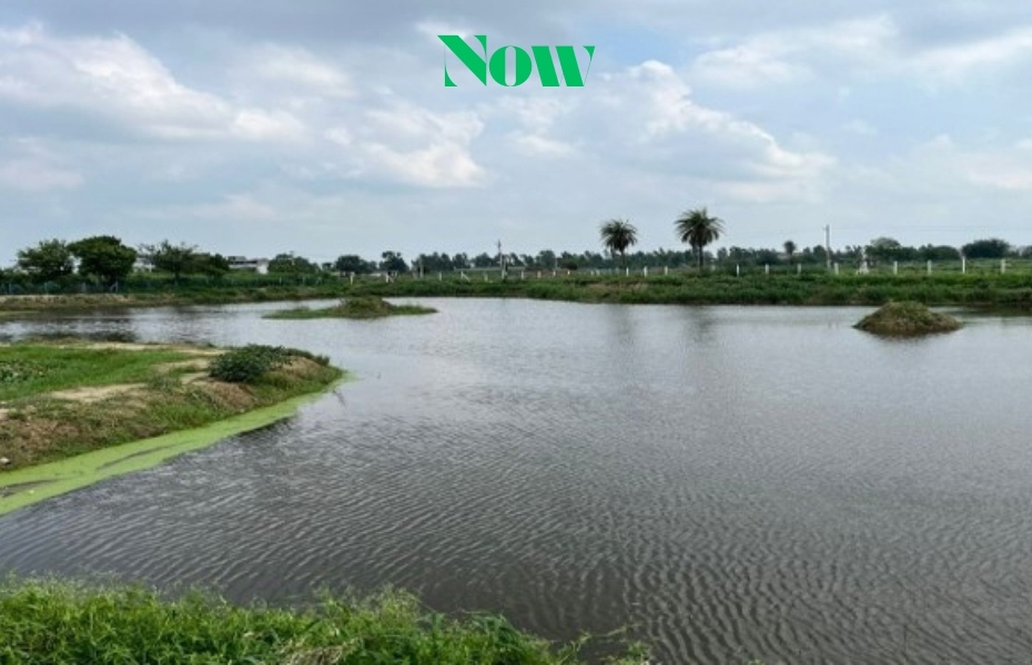 Water Management Now